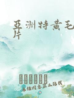 亚洲特黄毛片毛片
