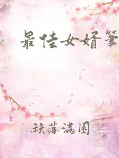 最佳女婿笔趣阁
