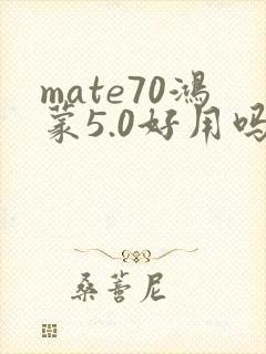 mate70鸿蒙5.0好用吗