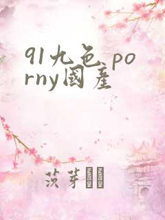 91九色 porny国产