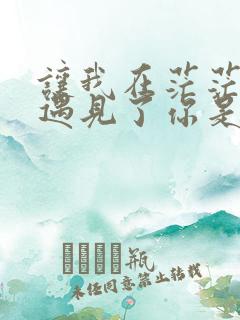 让我在茫茫人海遇见了你是什么歌