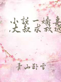 小说一娇妻在上,大叔求放过