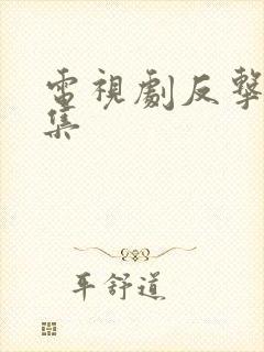 电视剧反击共几集