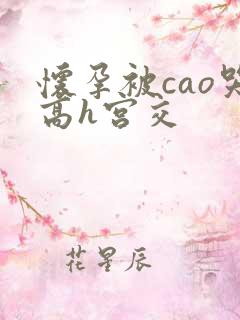 怀孕被cao哭高h宫交