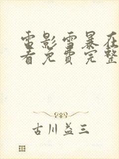 电影雪暴在线观看免费完整版