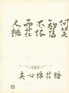 人面不知何处去桃花依旧笑春风表达了什么