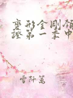 变形金刚领袖之证第一季中文版