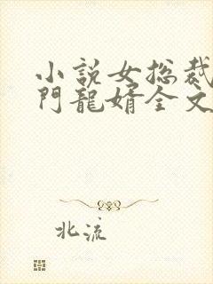小说女总裁的上门龙婿全文