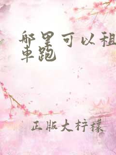 哪里可以租网约车跑