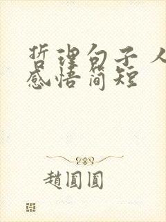 哲理句子 人生感悟简短