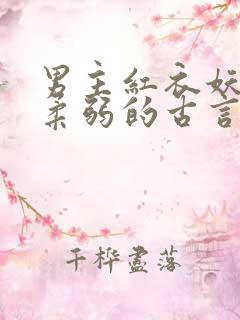 男主红衣妖孽装柔弱的古言