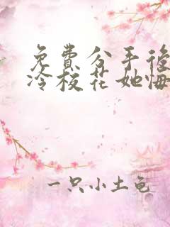 免费分手后 高冷校花她悔不当初短剧