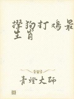 撵狗打鸡最正确生肖