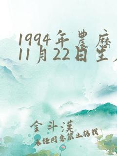 1994年农历11月22日生辰八字