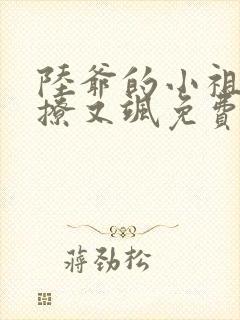 陆爷的小祖宗又撩又飒免费看