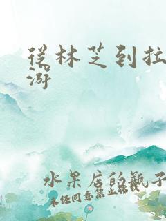 从林芝到拉萨旅游