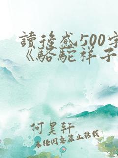 读后感500字《骆驼祥子》