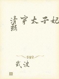 清穿太子妃与康熙