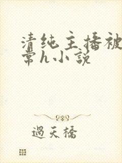 清纯主播被脔日常h小说