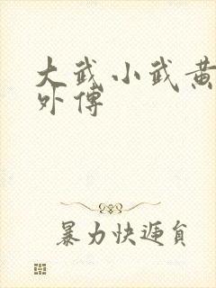 大武小武黄蓉番外传