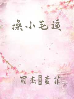 操小毛逼