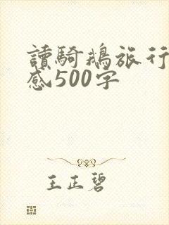 读骑鹅旅行记有感500字