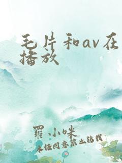毛片和av在线播放