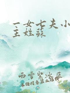 一女七夫小说女主姓苏