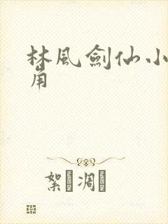 林风剑仙小说主角