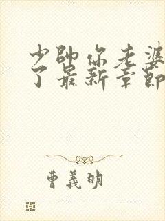 少帅你老婆又跑了最新章节