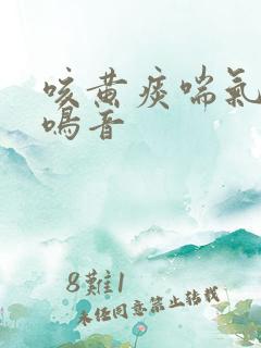咳黄痰喘气有痰鸣音
