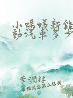 小蚂蚁新能源电动汽车多少钱