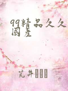 99精品久久久国产