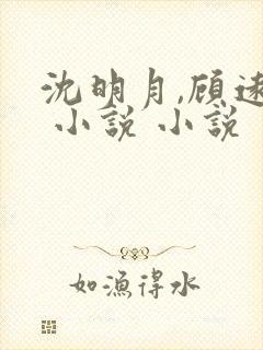 沈明月,顾远舟 小说 小说