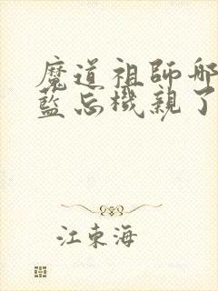 魔道祖师哪一集蓝忘机亲了魏无羡