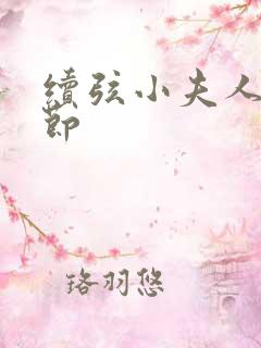 续弦小夫人新章节