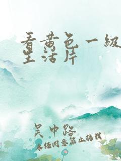 看黄色一级夫妻生活片