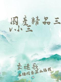 国产精品三级av小三