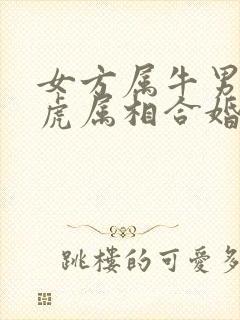 女方属牛男方属虎属相合婚吗