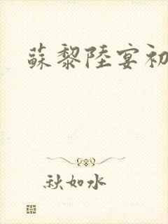 苏黎陆宴初小说