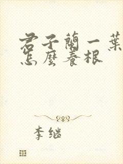 君子兰一叶小苗怎么养根