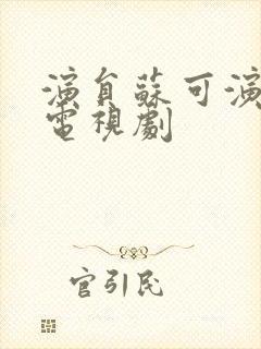 演员苏可演过的电视剧