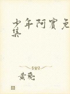 少年阿宾免费全集
