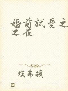 婚前试爱之新婚之夜