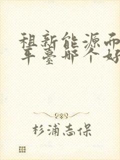 租新能源面包车平台哪个好