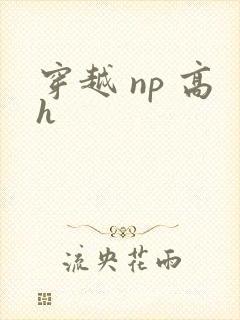 穿越 np 高h