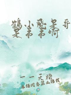 鹤小飞是哥哥还是弟弟啊