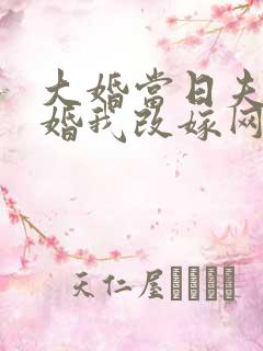 大婚当日夫君逃婚我改嫁网盘