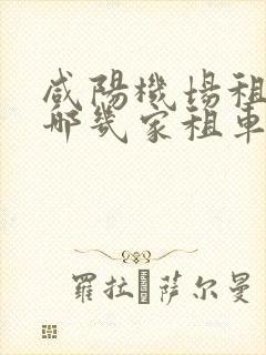 咸阳机场租车有哪几家租车公司