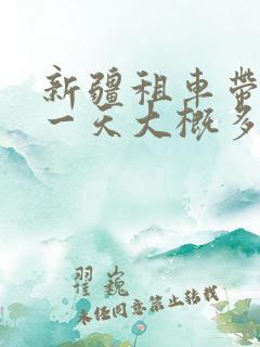 新疆租车带司机一天大概多少钱